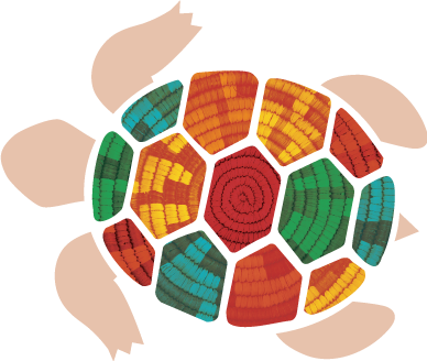 Illustration of a turtle with a colorful shell, representing the colors of the different issue areas