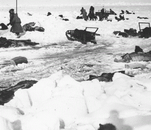 Commercial whalers cutting blubber from their harvest in Point Barrow, Alaska. Image: Alaska State Library, Rev. Samuel Spriggs Photograph Collection