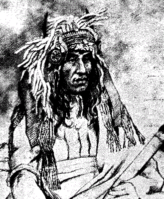 Dakota Chief Ta-oya-te-duta, known in English as Little Crow. Image: Frank Blackwell Mayer; Minnesota Historical Society