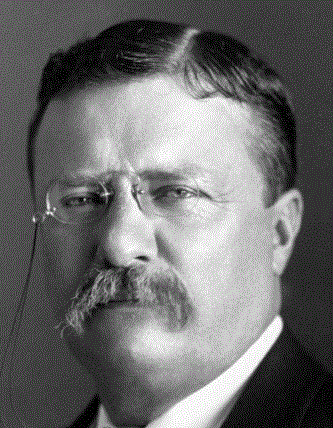 President Roosevelt. Image: Pach Bros