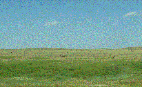 Farmland on Cheyenne River Indian Reservation. Image: Spencer